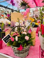 fete des meres (3)